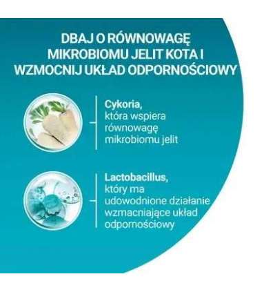 PURINA One Sterilcat Wołowina - dry cat food - 9,75kg