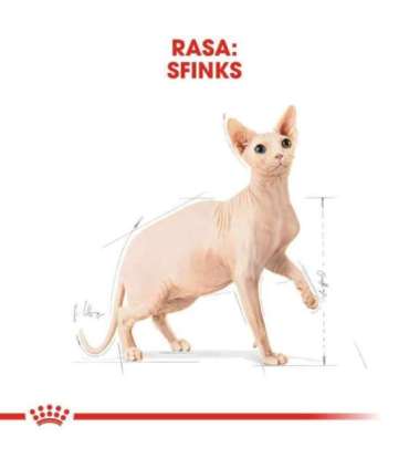 Royal Canin Sphynx dry cat food 2 kg