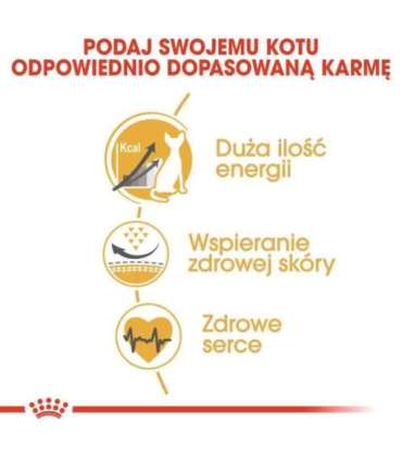 Royal Canin Sphynx dry cat food 2 kg