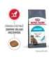 Royal Canin Urinary Care dry cat food Adult Poultry 2 kg