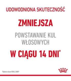 Royal Canin Hairball Care dry cat food 2 kg