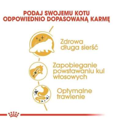 ROYAL CANIN Persian Adult - dry cat food - 2kg