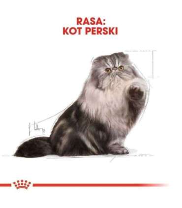 ROYAL CANIN Persian Adult - dry cat food - 2kg
