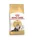 ROYAL CANIN Persian Adult - dry cat food - 2kg