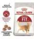 Royal Canin Feline Fit 2kg cats dry food Adult
