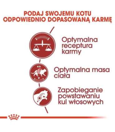 Royal Canin Feline Fit 2kg cats dry food Adult