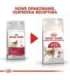 Royal Canin Feline Fit 2kg cats dry food Adult