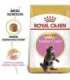 ROYAL CANIN Maine Coon Kitten- dry cat food - 4 kg