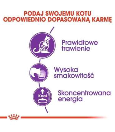 Royal Canin Sensible 33 cats dry food 10 kg Adult