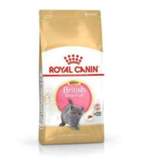Royal Canin British Shorthair Kitten cats dry food 2 kg Poultry, Rice, Vegetable