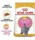 Royal Canin British Shorthair Kitten cats dry food 2 kg Poultry, Rice, Vegetable