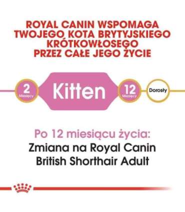 Royal Canin British Shorthair Kitten cats dry food 2 kg Poultry, Rice, Vegetable