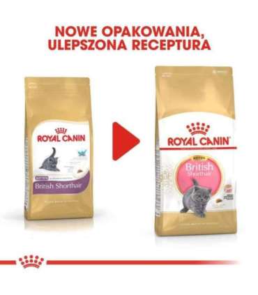 Royal Canin British Shorthair Kitten cats dry food 2 kg Poultry, Rice, Vegetable