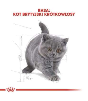 Royal Canin British Shorthair Kitten cats dry food 2 kg Poultry, Rice, Vegetable