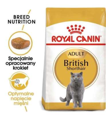 ROYAL CANIN British Shorthair - dry cat food - 2 kg