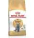 ROYAL CANIN British Shorthair - dry cat food - 2 kg