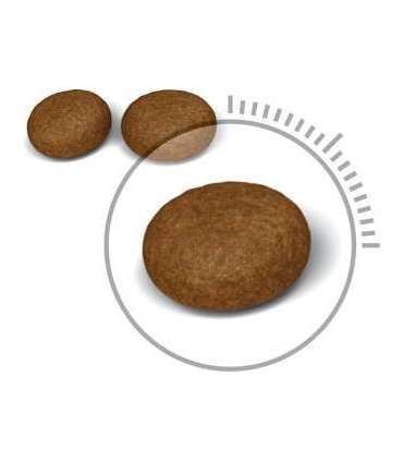 ROYAL CANIN Hair&Skin Care Adult - dry cat food - 400g