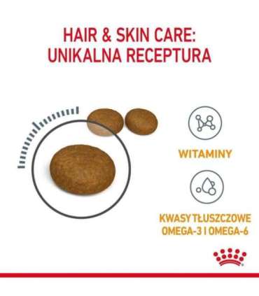 ROYAL CANIN Hair&Skin Care Adult - dry cat food - 400g