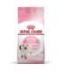 Royal Canin Kitten cats dry food 10 kg