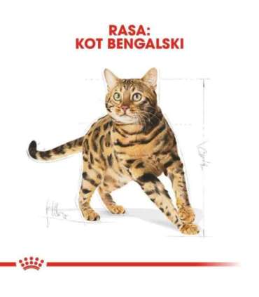 Royal Canin Bengal Adult cats dry food 2 kg Poultry, Vegetable