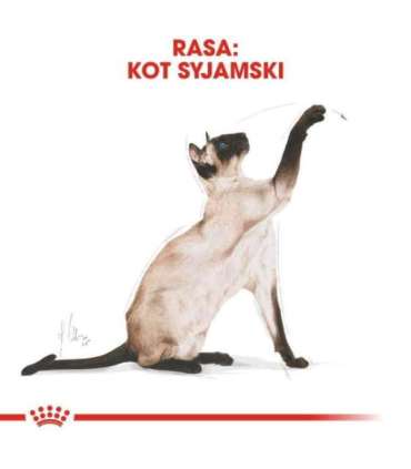 ROYAL CANIN Siamese Adult - dry cat food - 2 kg