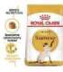 ROYAL CANIN Siamese Adult - dry cat food - 2 kg