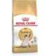 ROYAL CANIN Siamese Adult - dry cat food - 2 kg