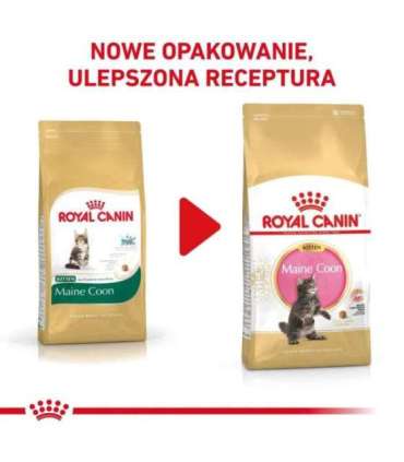 ROYAL CANIN Maine Coon Kitten - dry cat food - 2 kg
