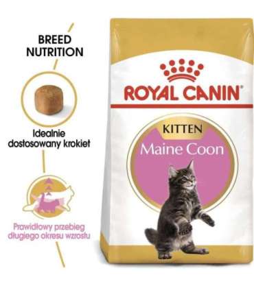 ROYAL CANIN Maine Coon Kitten - dry cat food - 2 kg