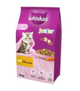 WHISKAS Junior with chicken - dry cat food - 14kg
