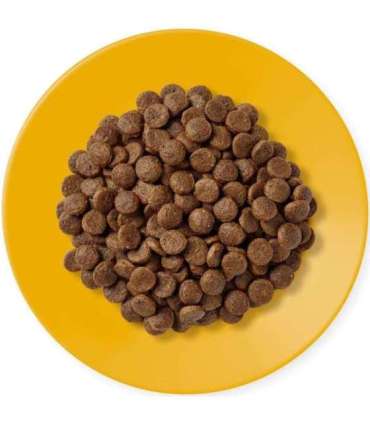 APPLAWS Adult Chicken - dry cat food - 400g