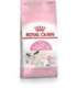 Royal Canin Mother & Babycat cats dry food 2 kg