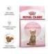 Royal Canin Kitten Sterilised cats dry food 3.5 kg Poultry