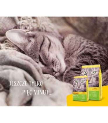 Josera SensiCat cats dry food 2 kg Adult Liver