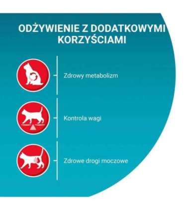 PURINA One Bifensis Sterilcat Beef - dry cat food - 800 g