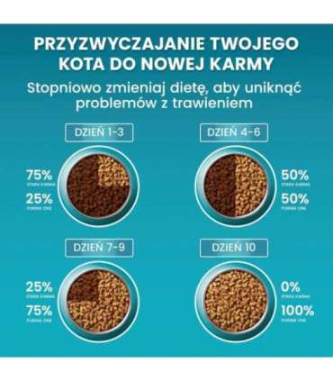 PURINA One Bifensis Sterilcat Beef - dry cat food - 800 g