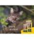 Josera NatureCat cats dry food 2 kg Adult Poultry, Salmon