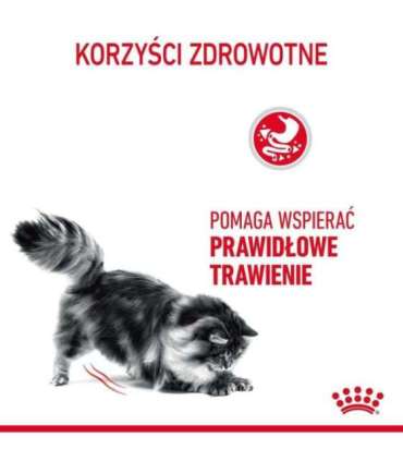 ROYAL CANIN Digestive Care Adult - dry cat food - 400g