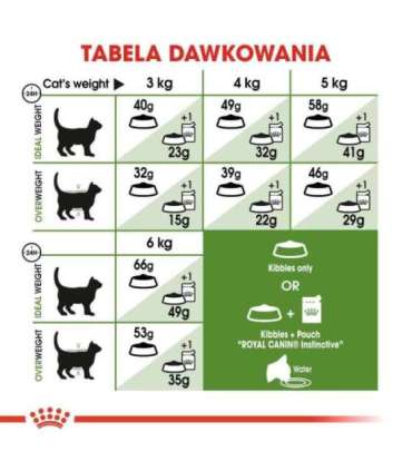 Royal Canin Active Life Outdoor cats dry food 4 kg Adult Poultry