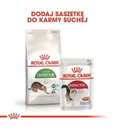 Royal Canin Active Life Outdoor cats dry food 4 kg Adult Poultry