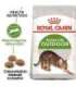 Royal Canin Active Life Outdoor cats dry food 4 kg Adult Poultry