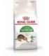 Royal Canin Active Life Outdoor cats dry food 4 kg Adult Poultry