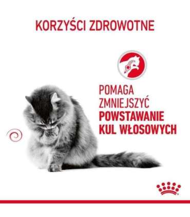 Royal Canin Hairball Care cats dry food 10 kg Adult Corn, Poultry, Rice, Vegetable