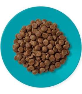 APPLAWS Adult Ocean fish with salmon - dry cat food - 1,8kg