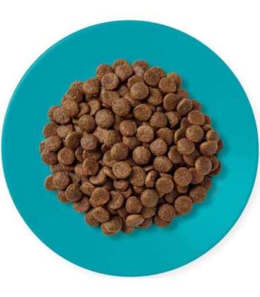 APPLAWS Adult Ocean fish with salmon - dry cat food - 1,8kg