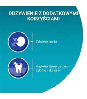 PURINA One Bifensis Senior 7+ - dry cat food - 800 g