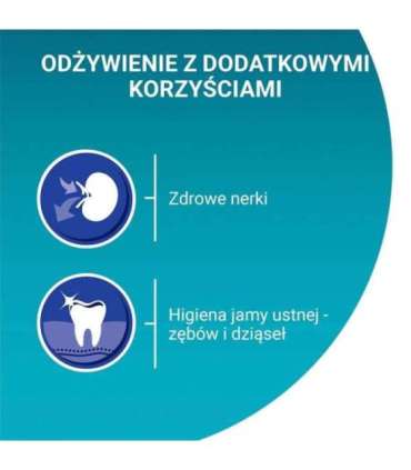 PURINA One Bifensis Senior 7+ - dry cat food - 800 g