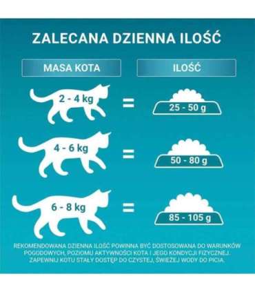 PURINA One Bifensis Senior 7+ - dry cat food - 800 g