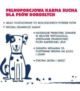 TEO Rich in beef - dry dog food - 9kg