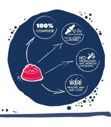 TEO Rich in beef - dry dog food - 9kg